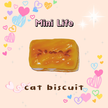 Cat biscuit