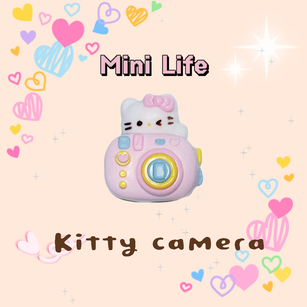 Kitty camera