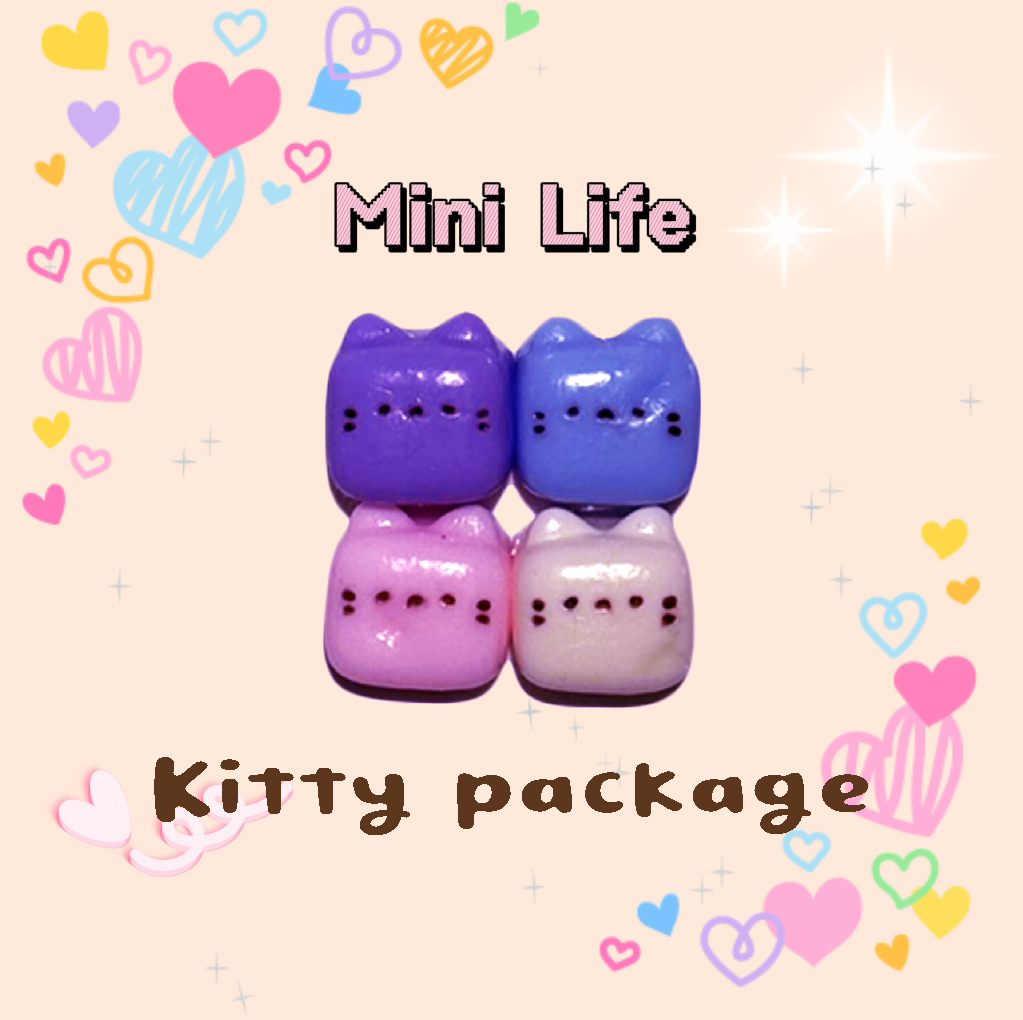 4 Kitty package