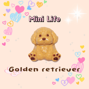 Golden retriever