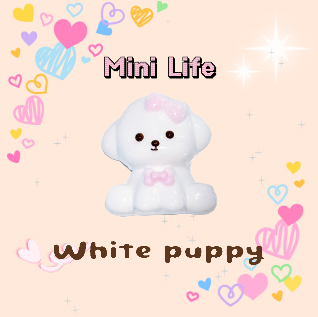 White puppy